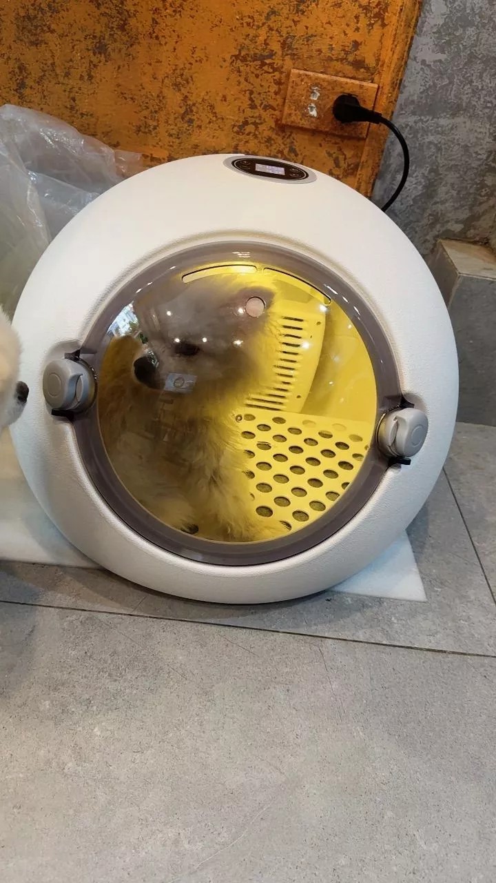 Customer using CozyDry with a cat